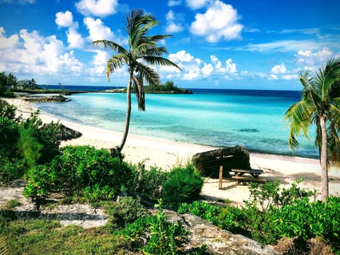 Beach nearby, sun loungers, beach towels