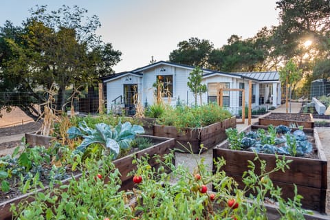 Chef's Garden - Chef's Garden in the Summertime Season