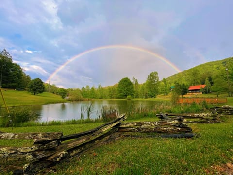 Catch & release fishing pond 5 minute walk from cabin