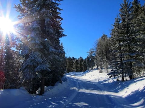 Snow and ski sports