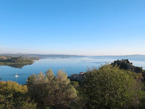 Sky, Cloud, Plant, Tree, Road Surface, Asphalt, Land Lot, House, Composite Material, Fence