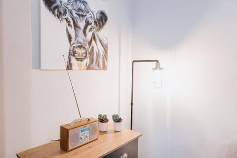 Bluetooth speaker/radio 