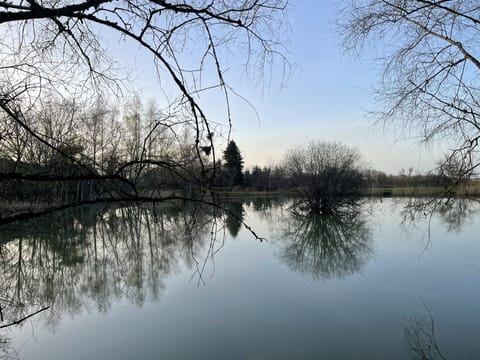 Etang privé picturesque en plein calme
