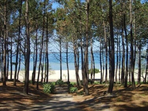 Beach nearby, sun loungers