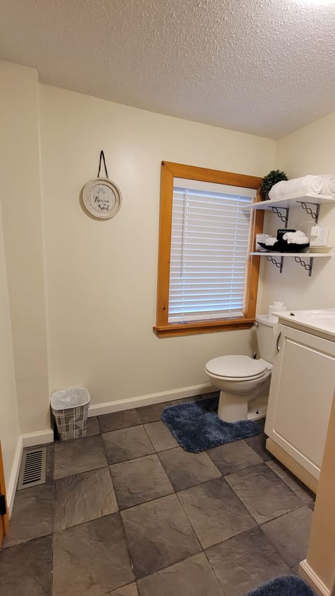 Combined shower/tub, hair dryer, towels, toilet paper