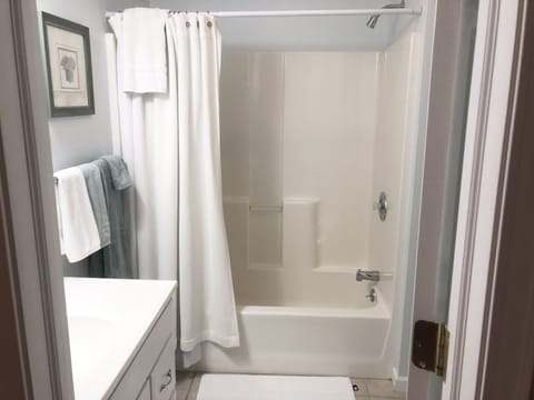 Combined shower/tub, hair dryer, towels, soap