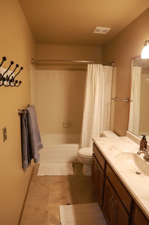 Combined shower/tub, hair dryer, towels, soap