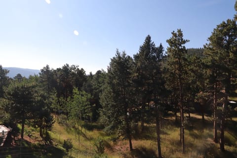 View from front porch