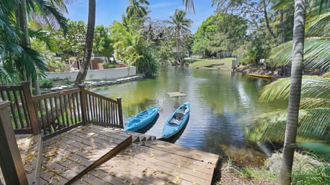 Enjoy a peaceful kayaking adventure on a beautiful tropical pond