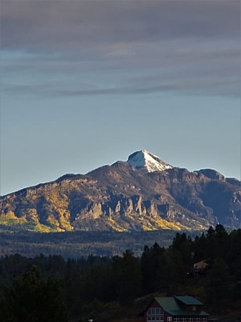 View on the deck and out the living room window