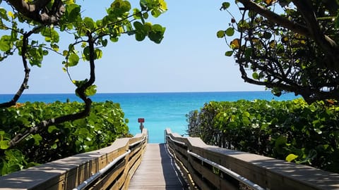 Beach nearby, sun loungers, beach towels