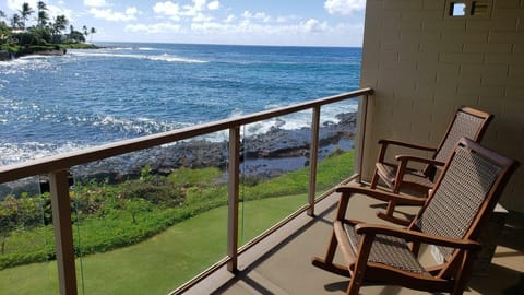 Watch turtles in the bay