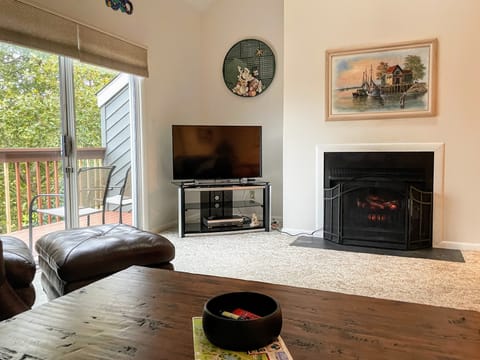 Smart TV, fireplace, books