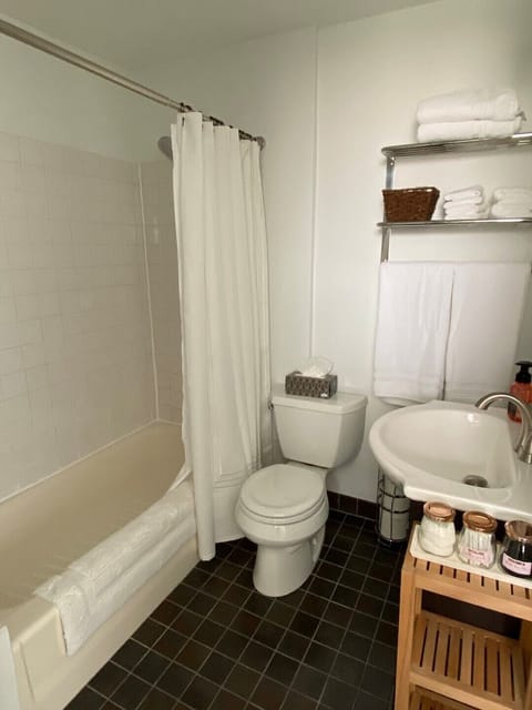 Combined shower/tub, hair dryer, towels, soap