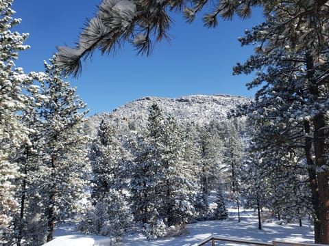 View from the deck on a beautiful winter day in Cotopaxi.