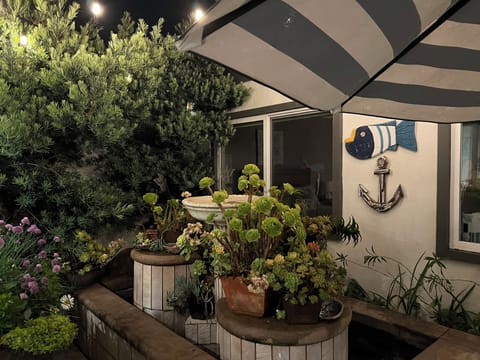 Open air atrium planters at night adjacent to kitchen.