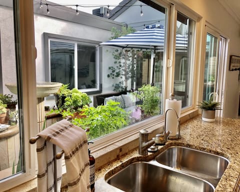 Kitchen window above sink looking into garden atrium including herb garden.