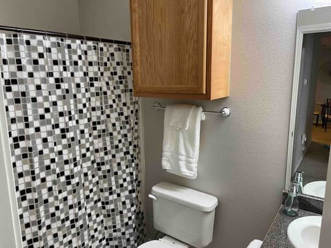 Combined shower/tub, hair dryer, towels