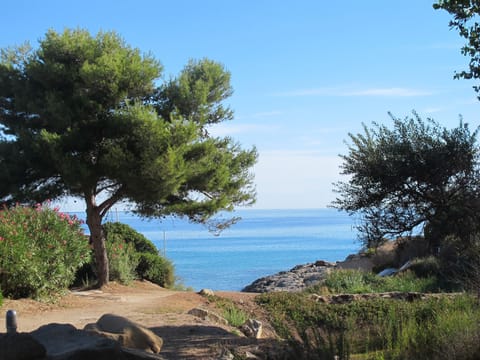 Beach nearby, sun loungers