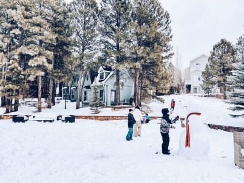 Snow and ski sports