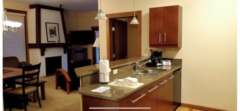Kitchen counter, looking into living space