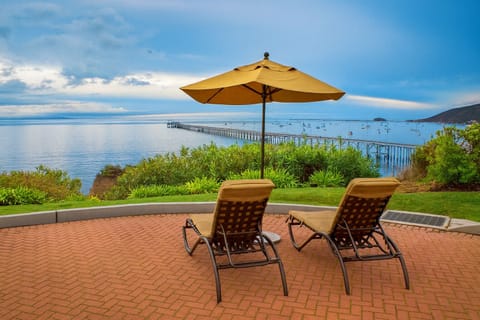 Relax in cushioned loungers facing the sparkling ocean and pier.