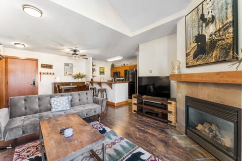 TV, fireplace, books