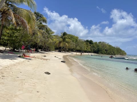 Beach nearby, beach towels