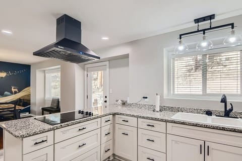 Kitchen with view of backyard suite