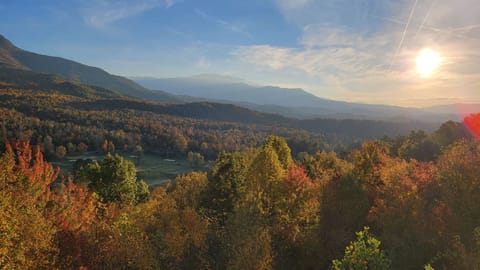 View from Deck Nov 1 2021