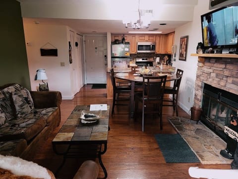 TV, fireplace, books