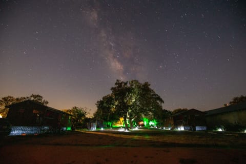 Voted some of the best stargazing in all of Texas!