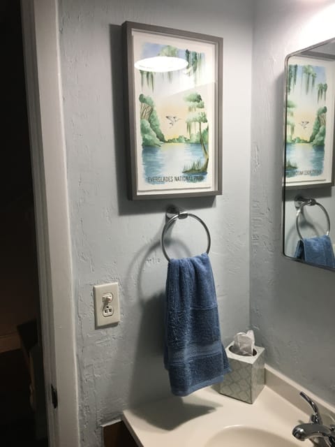 Combined shower/tub, hair dryer, towels, soap