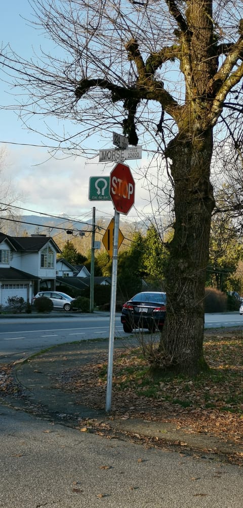 224 morse crescent street 