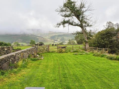 View | Nant Y Crogwyn, Penmachno