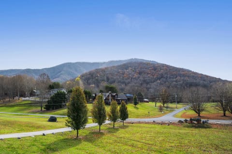 Summer look from the front deck