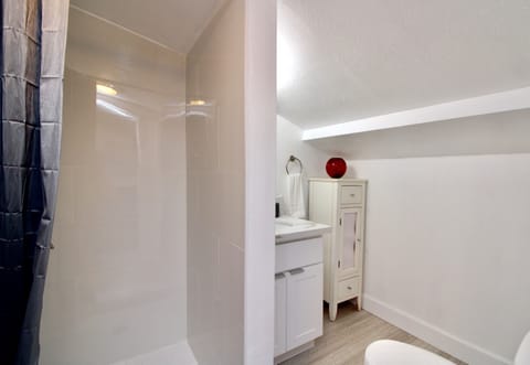 Combined shower/tub, hair dryer, towels