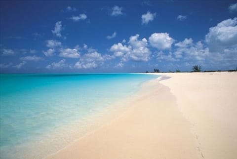 Beach nearby, sun loungers, beach towels