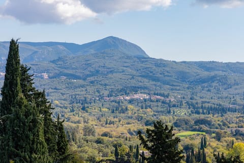 Scenic View
