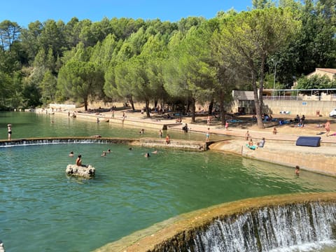 Immediate Surroundings [summer] (&lt;1 km)