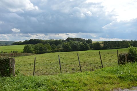 Immediate Surroundings [summer] (<1 km)