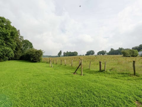 View from Holiday Home [summer]