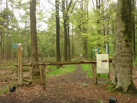 Surroundings [summer] (1-5 km)