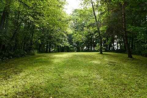 Walking trail
Take a leisurely stroll along the scenic trail, perfect for enjoying nature, getting some fresh air, and clearing your mind. Whether you’re out for a quiet walk or a peaceful jog, this trail offers the ideal escape into the outdoor