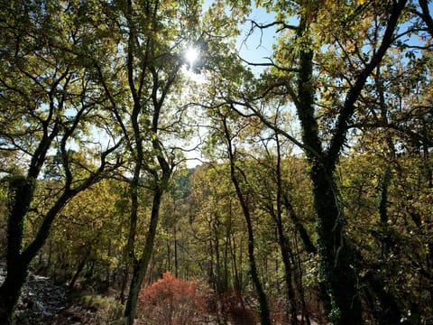 Surroundings [summer] (1-5 km)