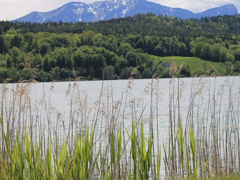 Water, Water Resources, Plant, Ecoregion, Sky, Natural Landscape, Natural Environment, Mountain, Lake, Vegetation