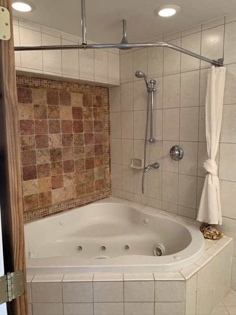 Combined shower/tub, hair dryer, towels