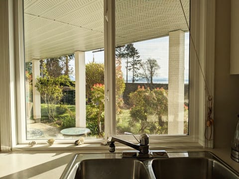 View from the kitchen window.