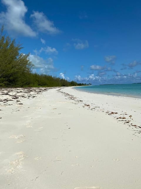 Beach nearby, sun loungers, beach towels