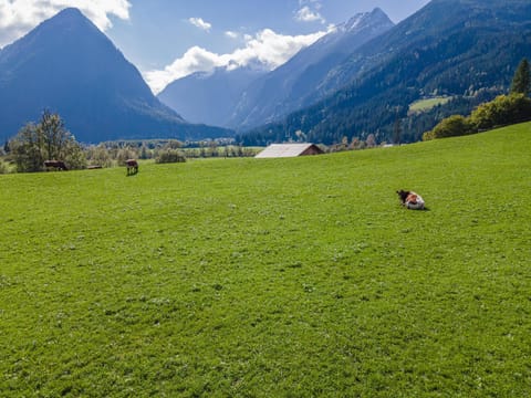 View from Holiday Home [summer]